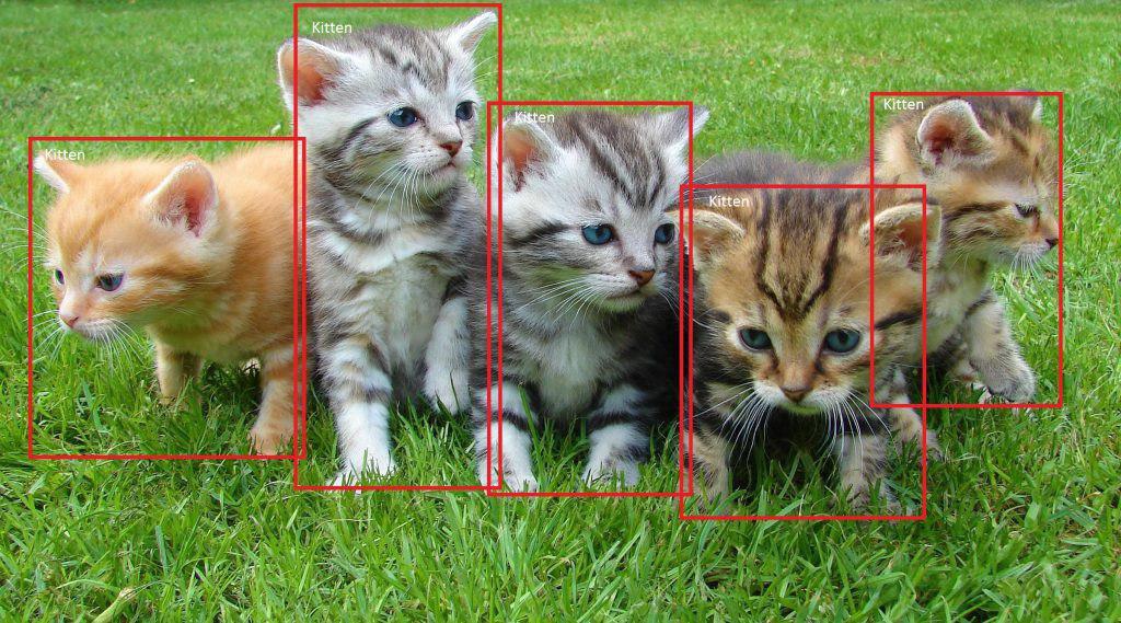 Object detection with Tensorflow. Object Detection API.