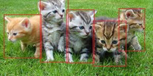 object-detection-tensorflow