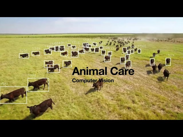 Computer Vision in farming